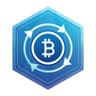 Bitcoin Icon Bitcoin crypto icon